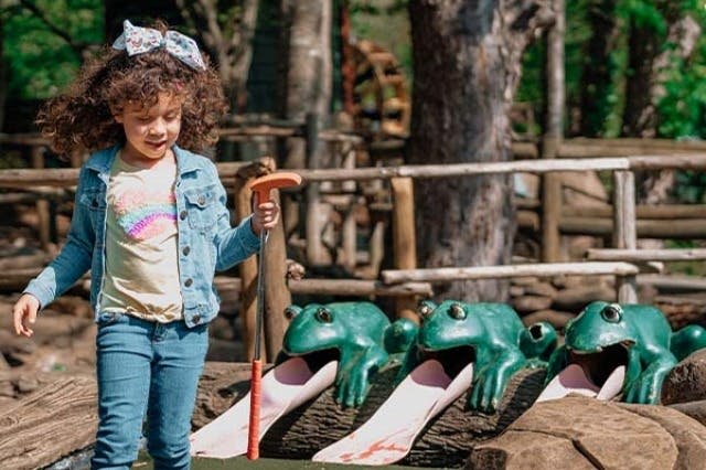 리플리의 스모키 수족관 + 추가 관광지 2 ~ 3곳