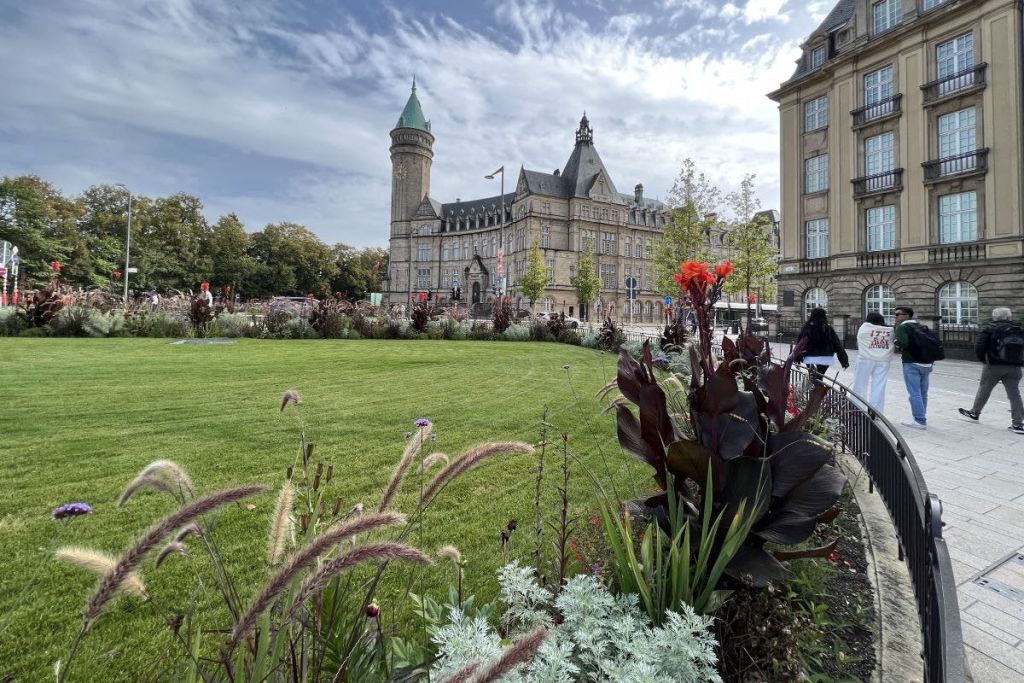 룩셈부르크의 메스 광장/페트루스 대로