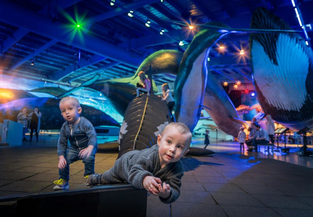 어린이 놀이 공간