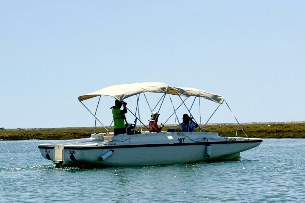 친환경 보트 투어