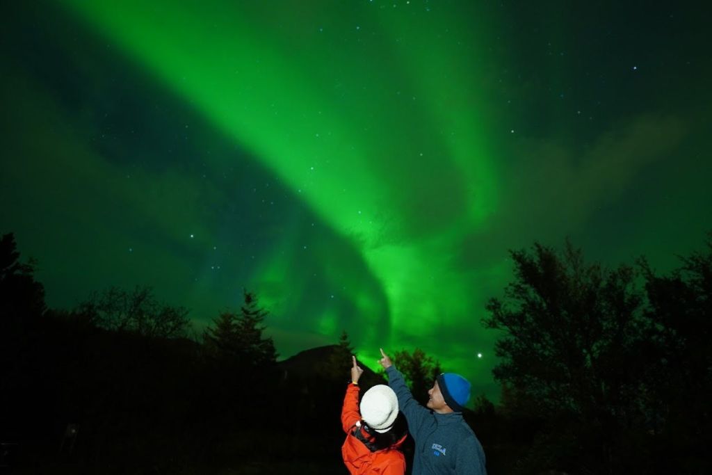 오로라