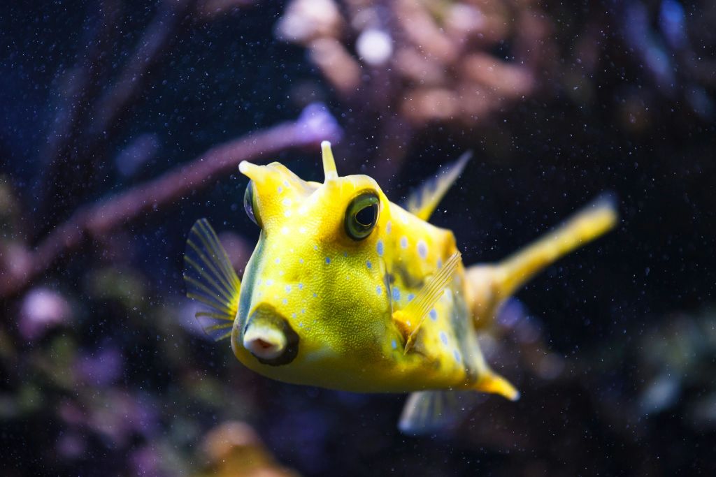 오니리아수족관