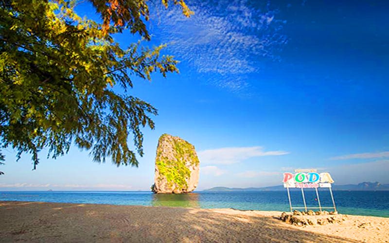 나무가 있는 모래 해변, 맑고 푸른 하늘, 바다에 바위 지층, 오른쪽에 "PO..." 문구가 부분적으로 보이는 표지판이 있습니다.