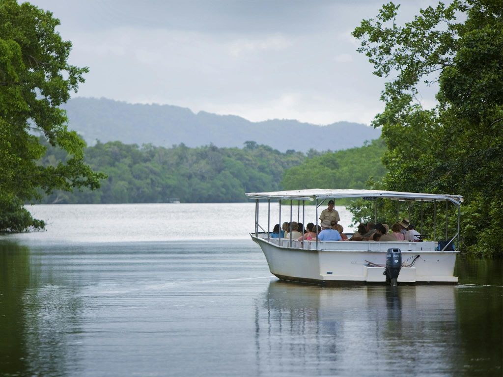 울창한 녹음과 안개가 자욱한 산으로 둘러싸인 잔잔한 호수에는 캐노피가 있는 보트가 여러 사람을 태우고 있습니다.