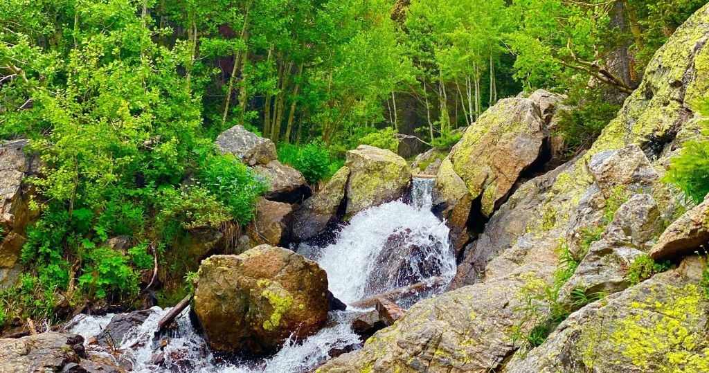 숲이 우거진 지역의 푸른 나무로 둘러싸인 바위 위로 흐르는 작은 폭포.
