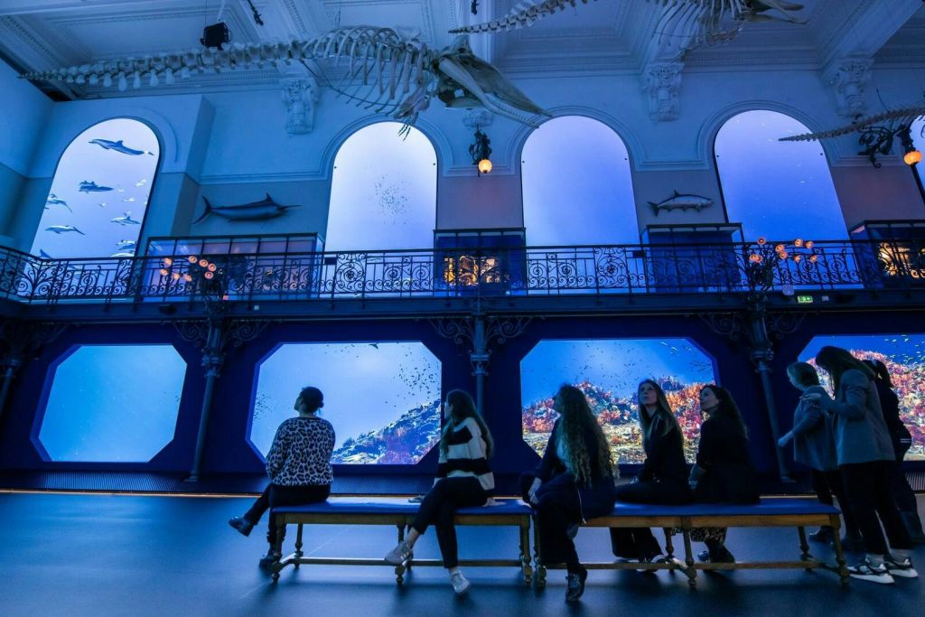 오셔노 오디세이