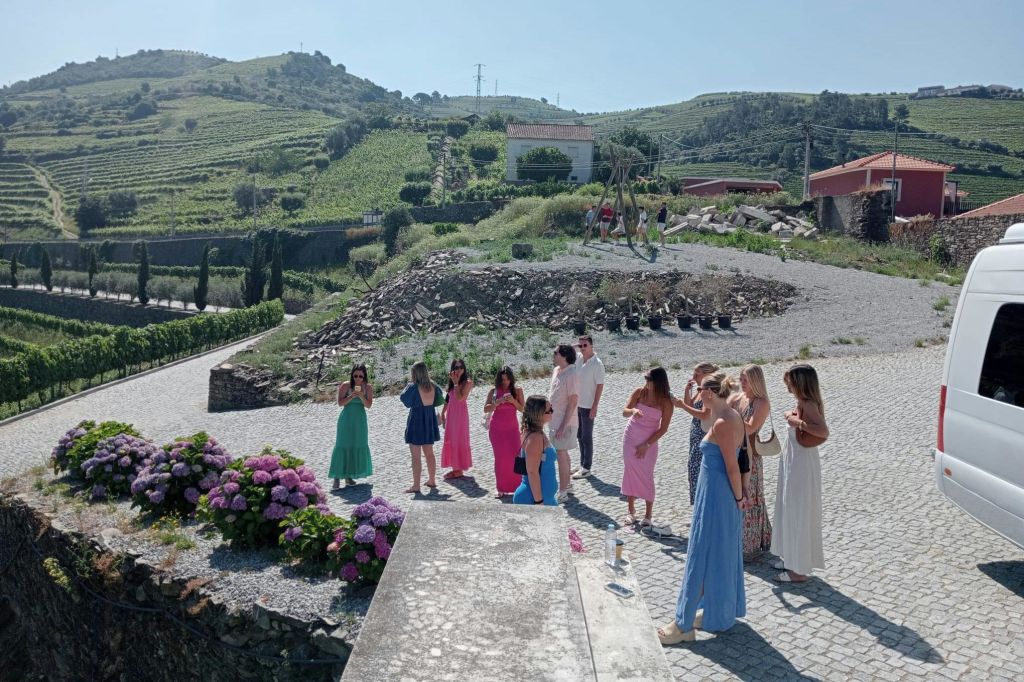 가이드와 함께하는 포도원 투어