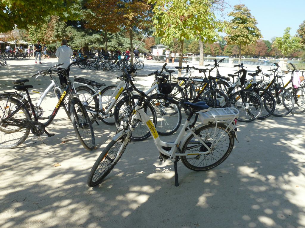 공원의 나무 근처 모래사장에 자전거가 주차되어 있습니다. 더 많은 자전거 근처의 배경에 몇 사람이 보입니다.