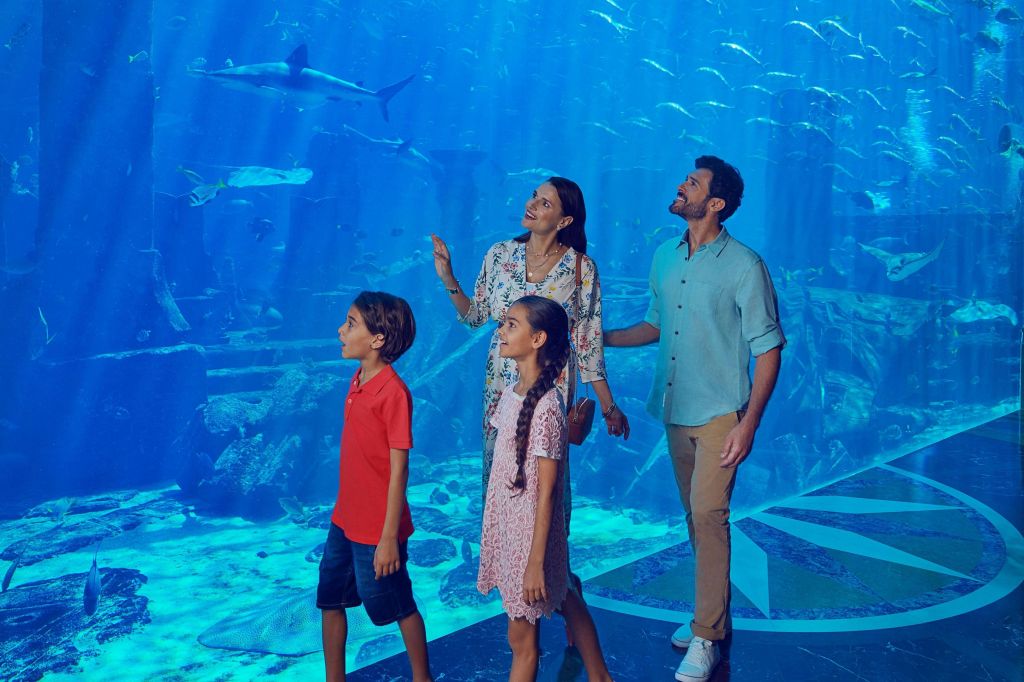 아틀란티스 더 팜