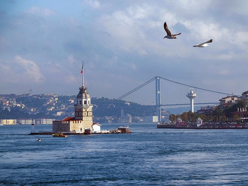 물속의 작은 섬에 있는 타워로, 현수교와 도시 풍경을 배경으로 머리 위로 새들이 날아다니고 있습니다.