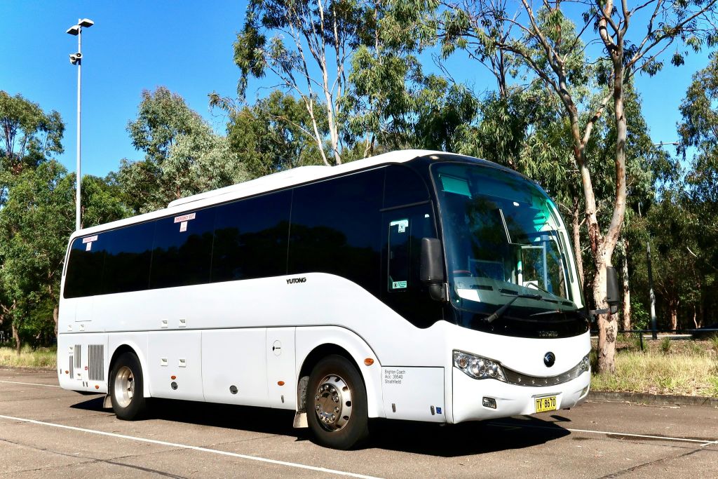 브라이턴의 편안한 코치