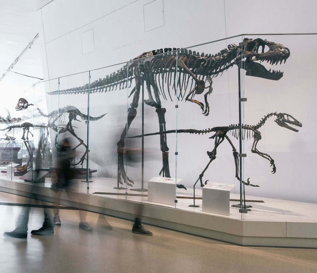 공룡이 지구를 돌아다녔을 때.