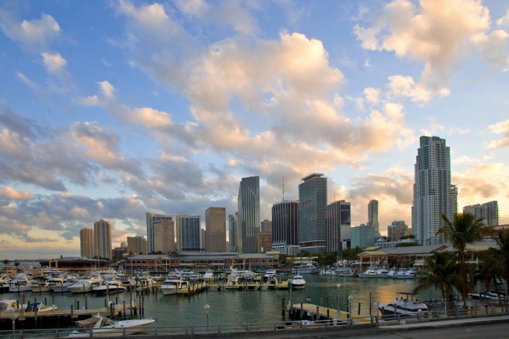마이애미 시티 투어