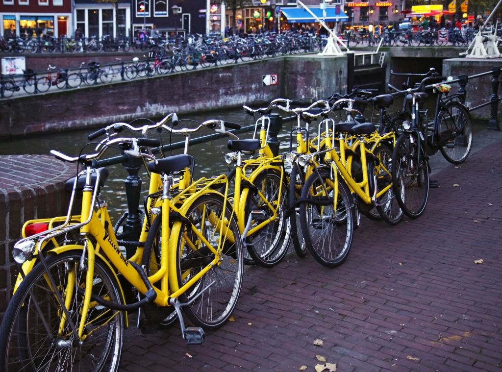 운하를 따라 주차된 노란색 자전거가 줄지어 있고, 배경에는 더 많은 자전거와 상점들이 보입니다.