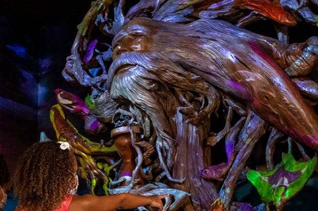 리플리의 믿거나 말거나! 올랜도