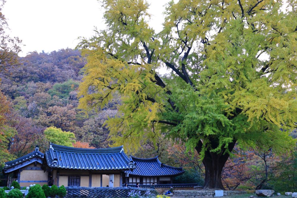 운곡서원