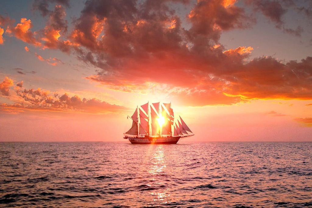 로열 앨버트로스