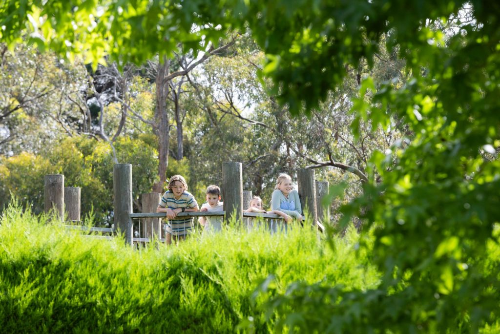 높은 나무와 빽빽한 단풍을 배경으로 울창하고 푸른 공원의 나무 울타리에 기대어 있는 어린이들.
