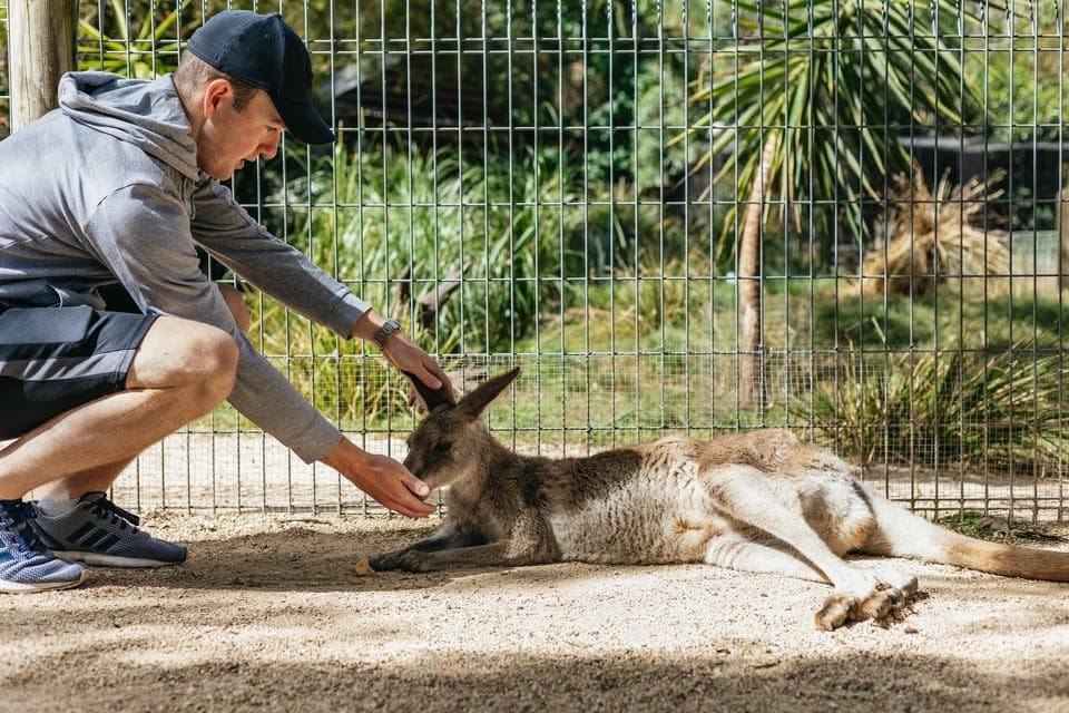 시드니 출발: 블루마운틴 전일 투어