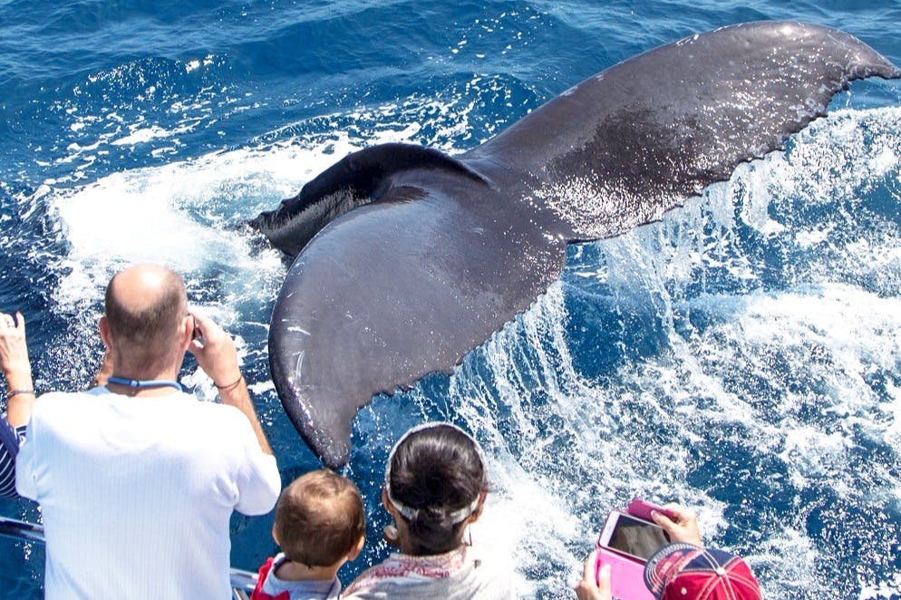 데이비의 물품 보관소