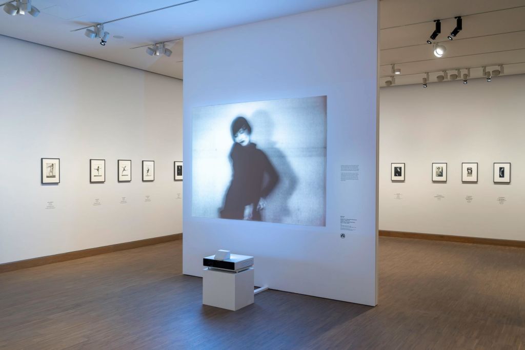 흐릿한 그림이 투영된 전시실, 벽에 걸린 액자, 스탠드에 설치된 프로젝터가 특징입니다.