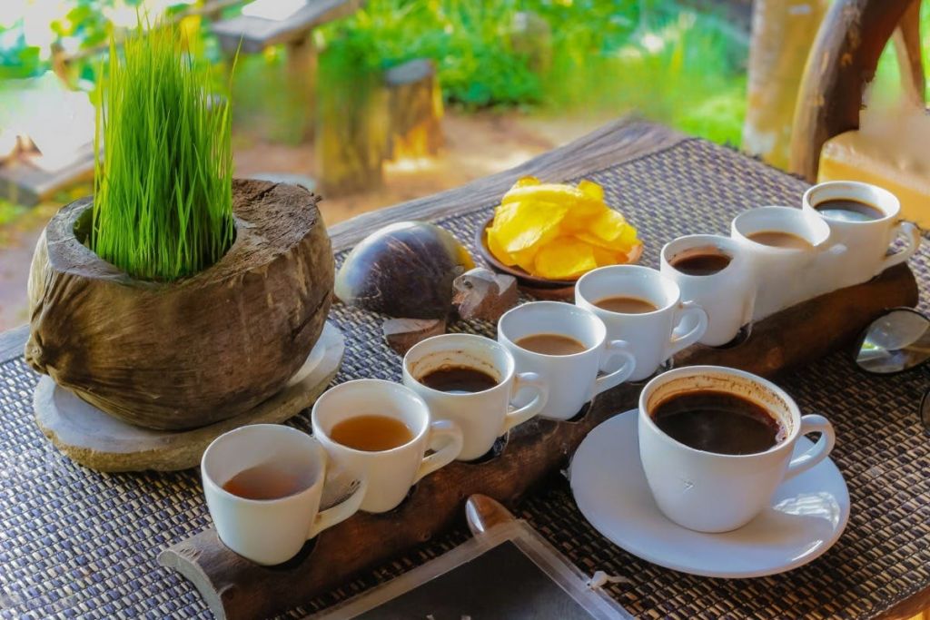 커피 농장에서 커피 시음하기