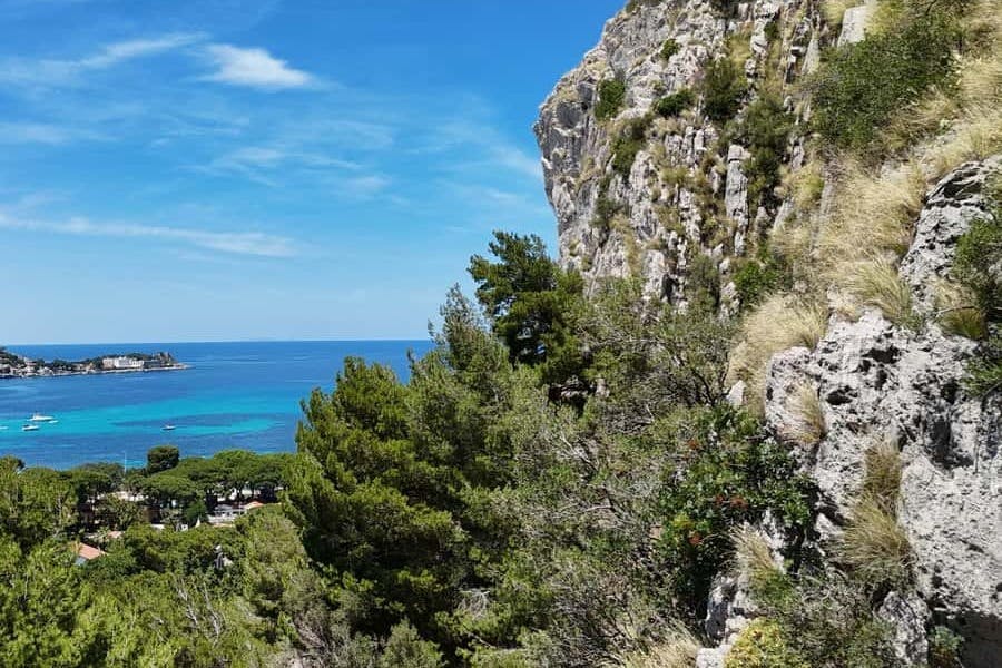 청명한 푸른 하늘 아래 청록색 바다가 내려다보이는 푸른 나무가 있는 바위 언덕.