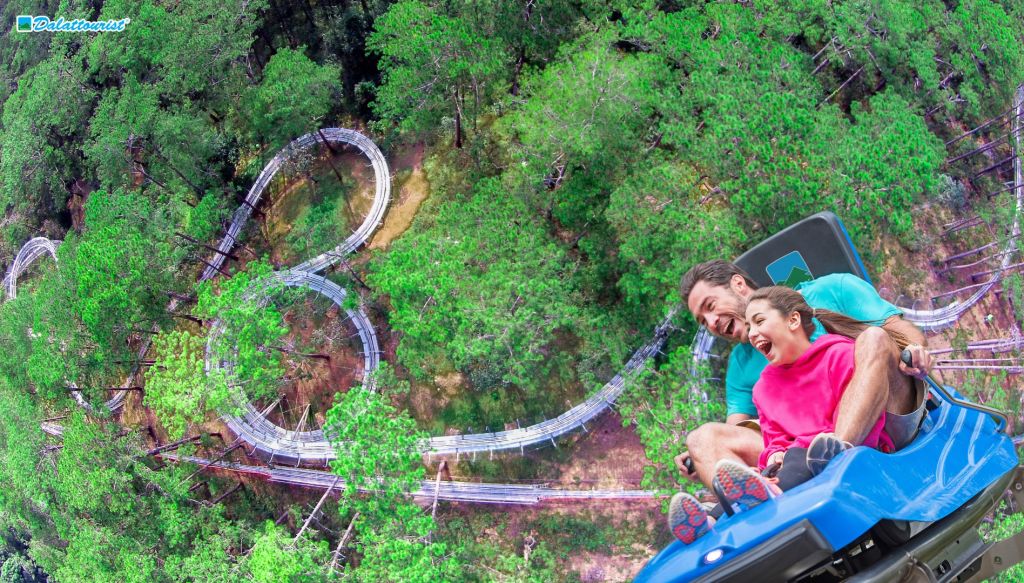 다랏의 Datanla New Alpine Coaster 체험