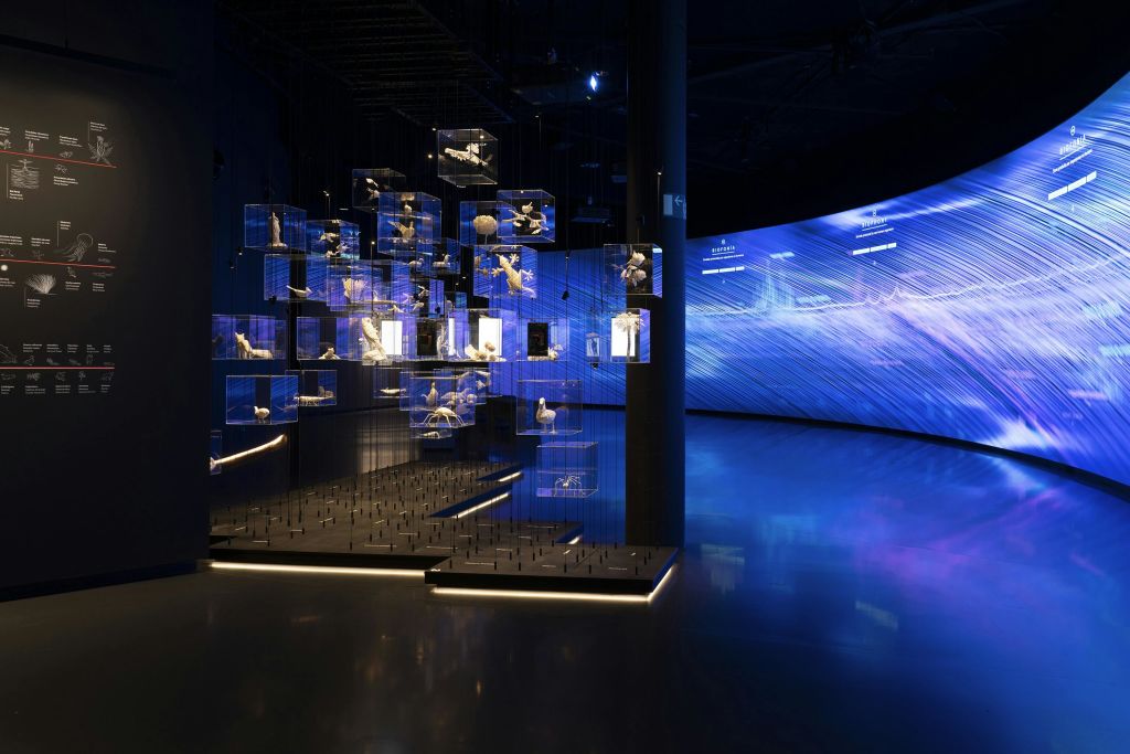 디지털 디스플레이가 있는 파란색 조명을 배경으로 투명 상자에 매달린 유물이 있는 현대적인 전시품.