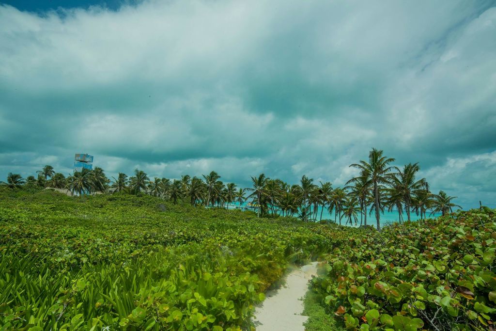 콘토이섬의 도로 탐방 준비 완료