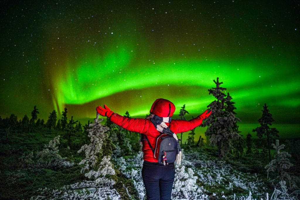 가장 아름다운 자연 현상을 즐겨보세요!