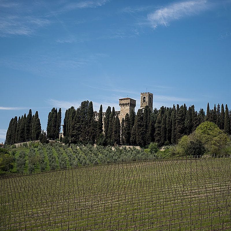 높은 노송 나무와 맑고 푸른 하늘 아래 포도밭으로 둘러싸인 타워가 있는 중세 성의 먼 전망.