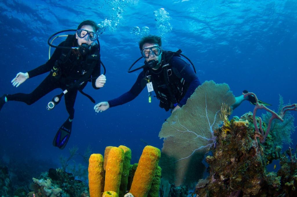 후르가다: 가이드와 함께하는 스쿠버다이빙 체험 + 왕복 교통편 + 점심 식사