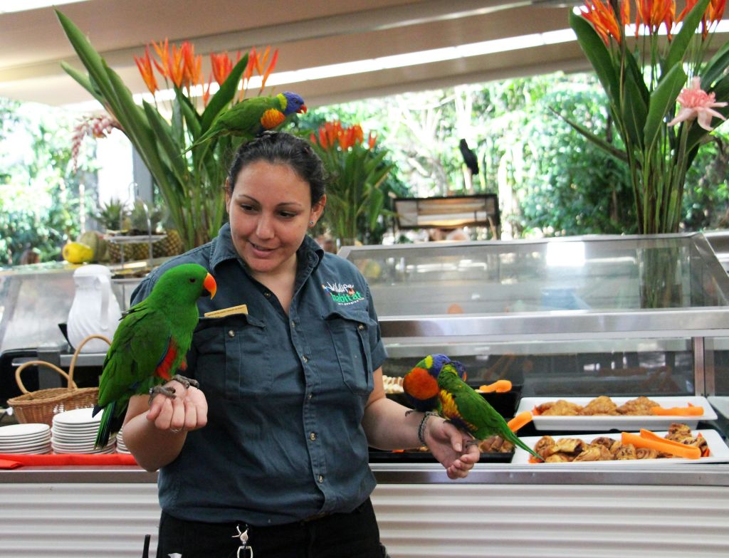 열대 카페에서 유니폼을 입은 여성이 두 마리의 화려한 앵무새를 팔에 안고 두 마리를 둘러싸고 있습니다.