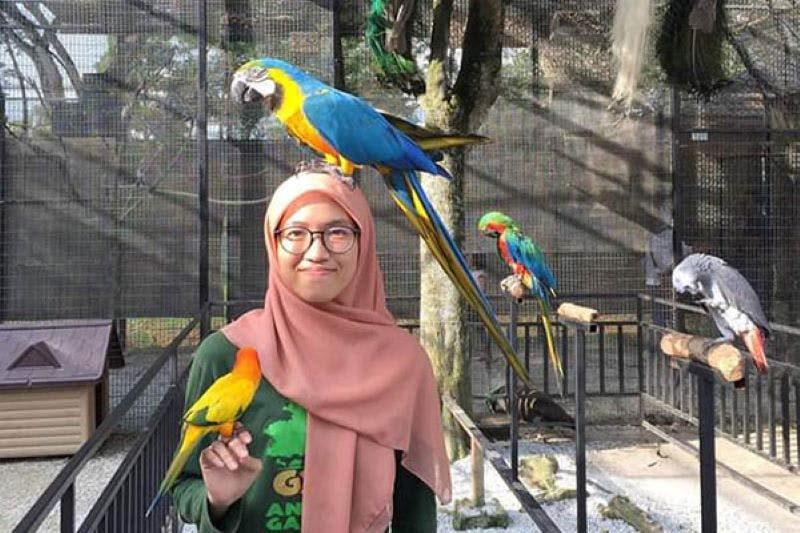 안경과 히잡을 쓴 사람이 파란색과 노란색 앵무새가 머리에 자리잡은 채 주황색 앵무새를 잡고 미소를 짓고 있습니다.