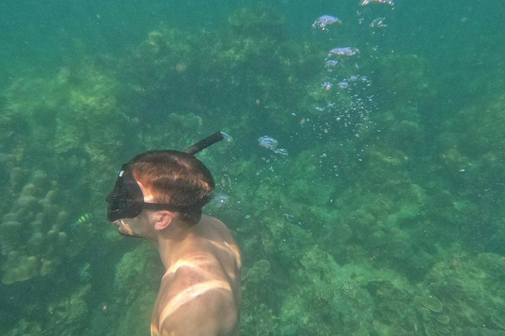 물고기와 거품이 보이는 산호 근처에서 스노클링을 즐기는 남성.