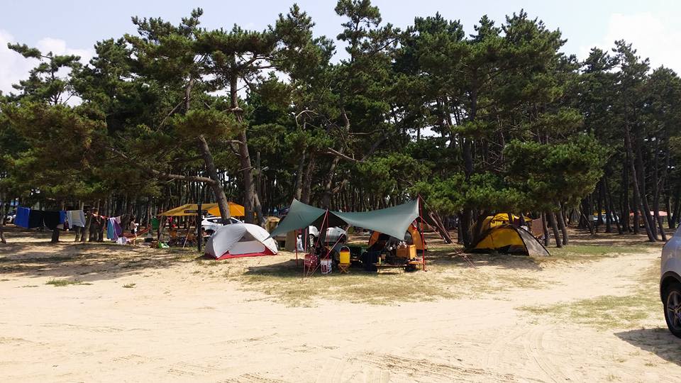 몽산포 오션 캠핑장