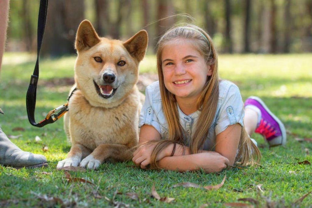 파라다이스 컨트리