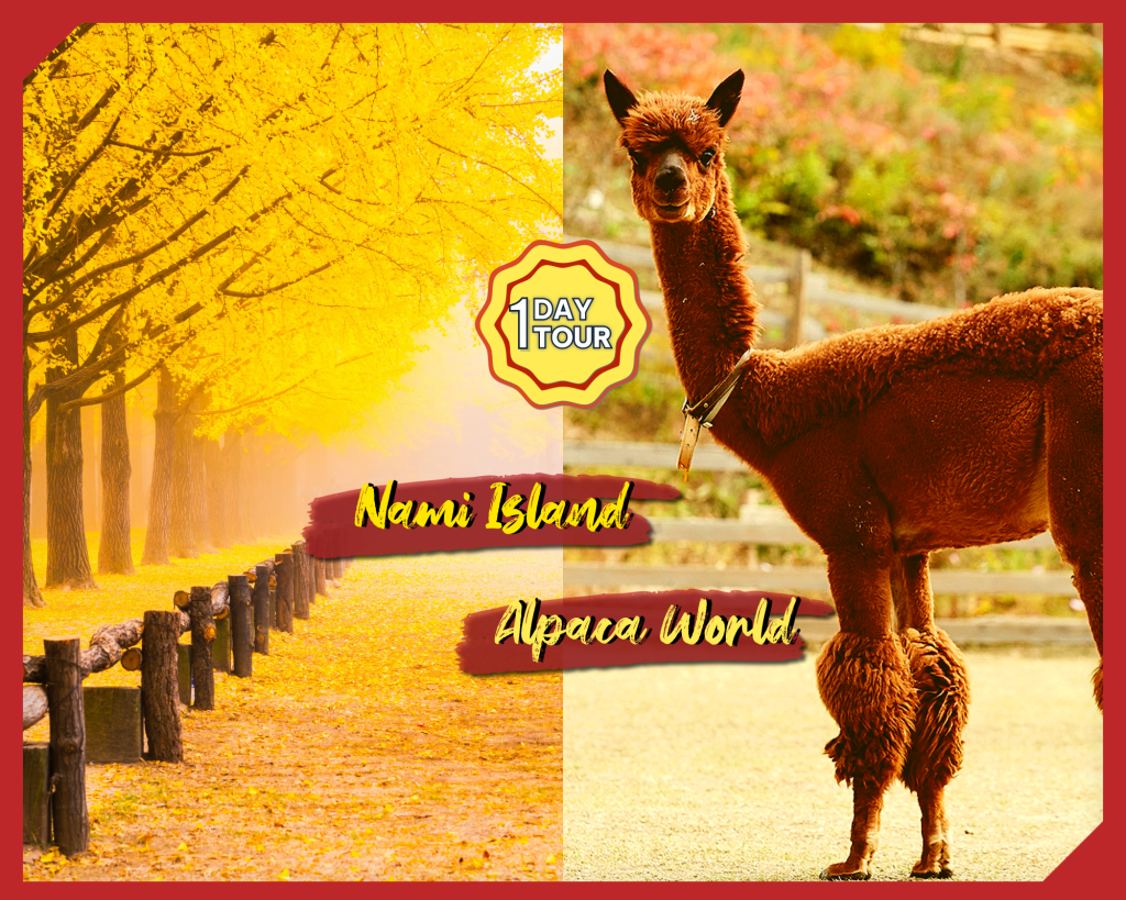 Alpaca World + Nami Island + Garden of Morning Calm