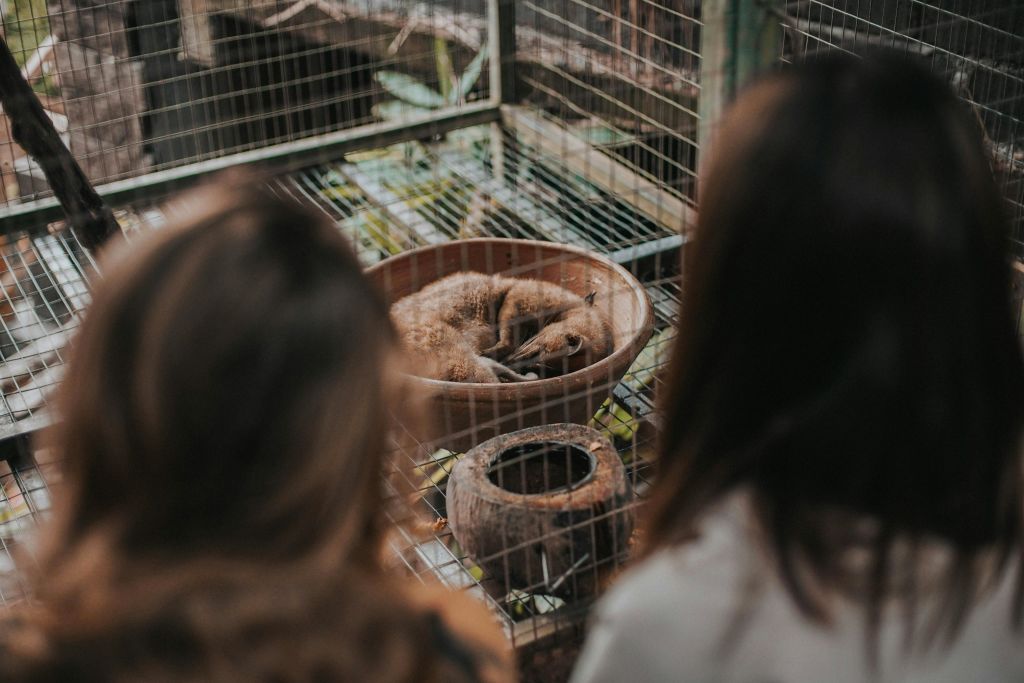 테갈랄랑 우붓 발리에서 즐기는 알라스하룸 농경 투어
