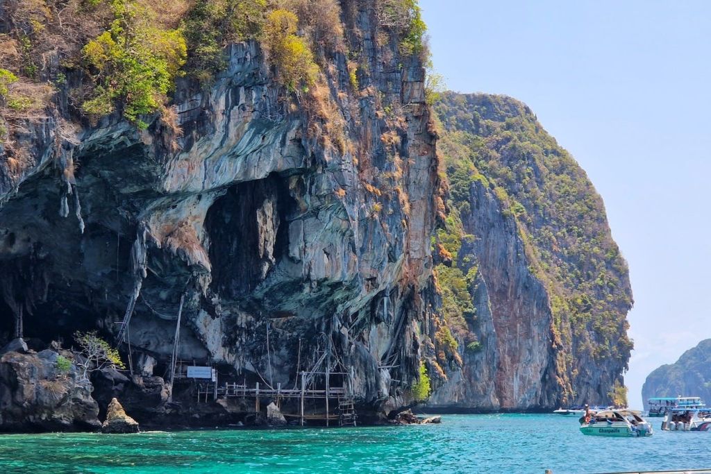 새 둥지가 모여 있는 신비로운 바이킹 동굴