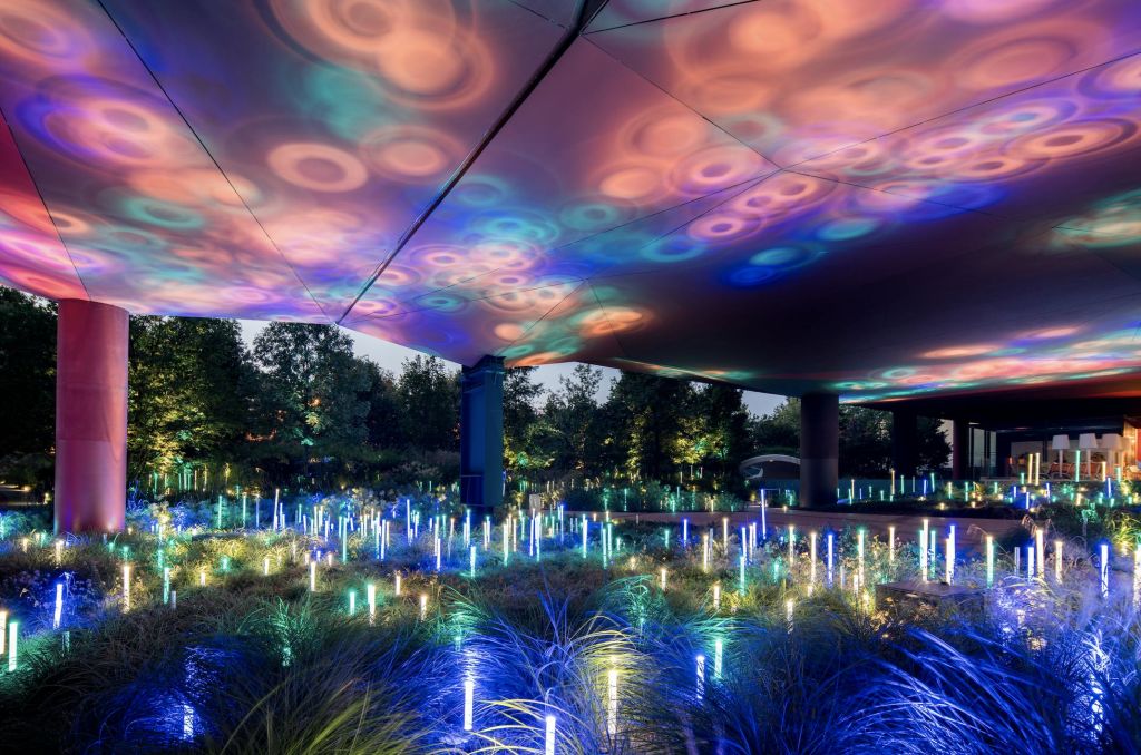 나무와 단풍으로 둘러싸인 캐노피에 화려한 조명 막대와 원형 투영을 특징으로 하는 야외 조명 설치물입니다.