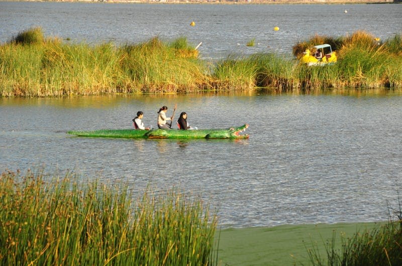 세 사람이 갈대로 둘러싸인 호수에서 악어와 같은 스타일의 녹색 카누를 타고 노를 저으며 배경에는 또 다른 보트가 있습니다.