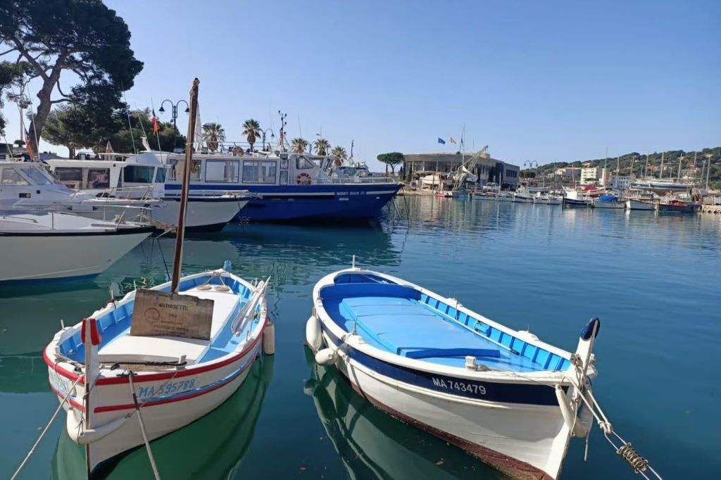 카시스 항구에서 즐기는 보트 투어