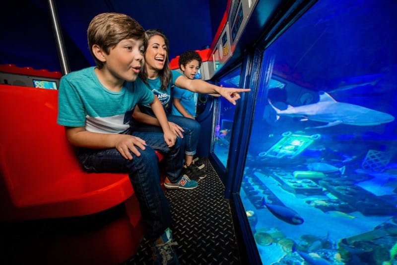 세 사람은 수족관 창문을 통해 해양 생물을 흥미진진하게 관찰하며, 빨간색 좌석에 앉아 한 명을 가리킵니다.