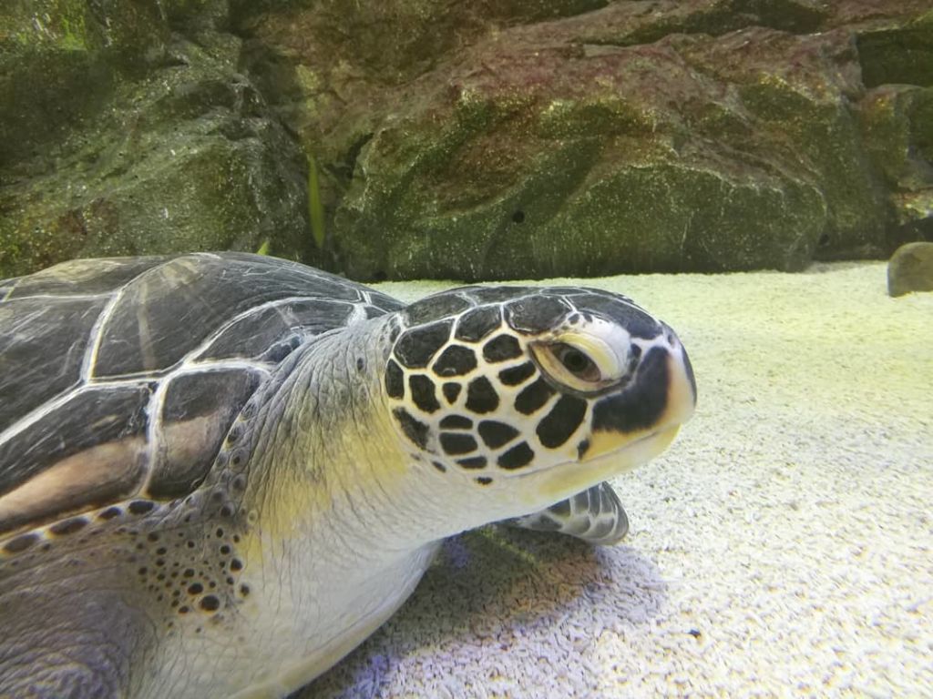 울진 아쿠아리움