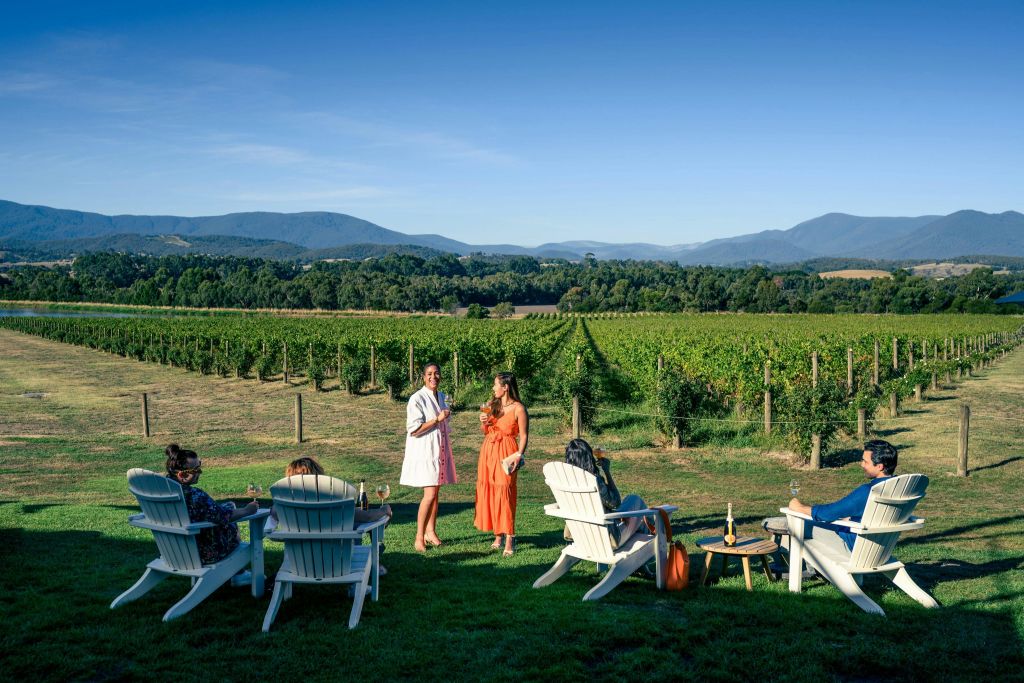 챈던 야라 밸리