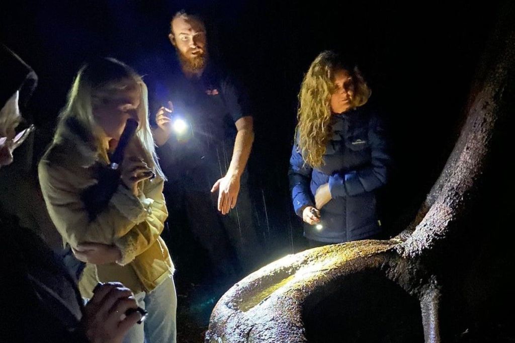 가이드와 함께하는 열대우림 투어