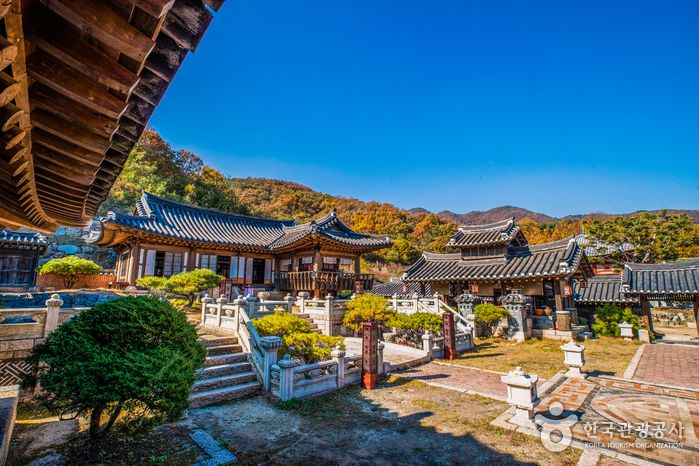 용인 대장금 파크