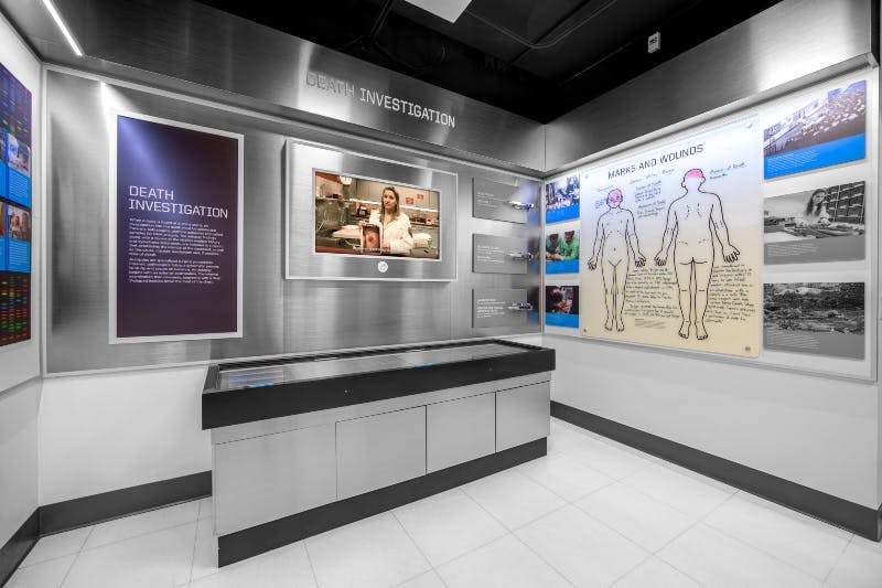 유익한 패널, 디스플레이, 실험실에 있는 여성을 보여주는 모니터가 있는 '죽음 조사' 라고 표시된 현대적인 전시실입니다.